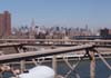 DSC00303