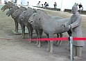 TCW16
