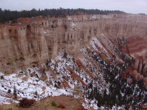 Bryce (44)
