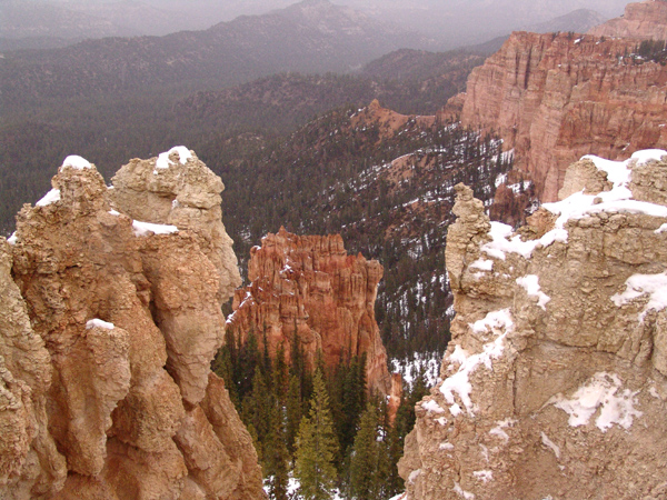 Bryce (5)